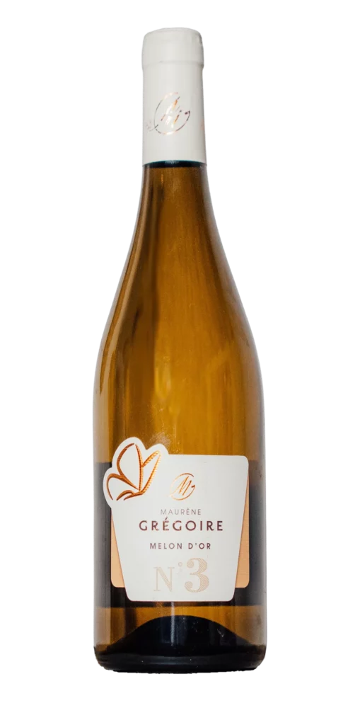 Bouteille de Melon n°3, vin blanc du Domaine Grégoire